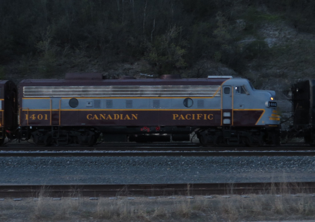 CP 1401